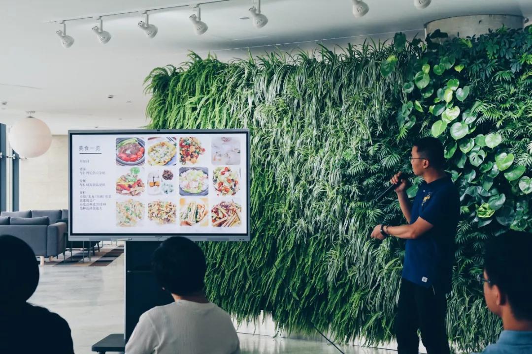 办公室植物墙装修,办公室装修什么墙最好