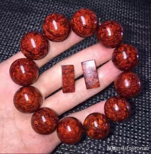 印度小叶紫檀千年树王,天价印度小叶紫檀树