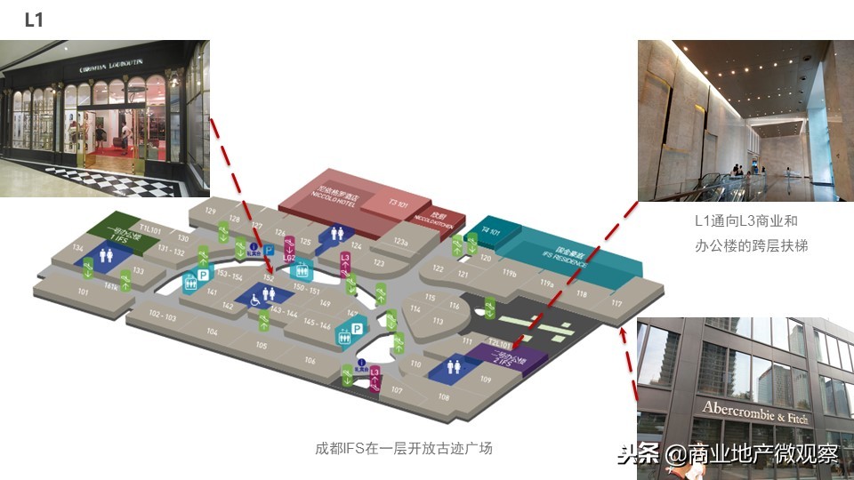 在成都看ifs熊猫,成都ifs上的爬墙大熊猫