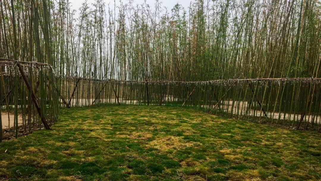 彭山竹韵廊在什么地方,彭山区竹韵廊公园航拍