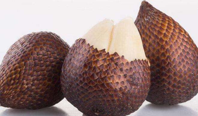 各种没见过的热带水果,常见的热带水果有哪些