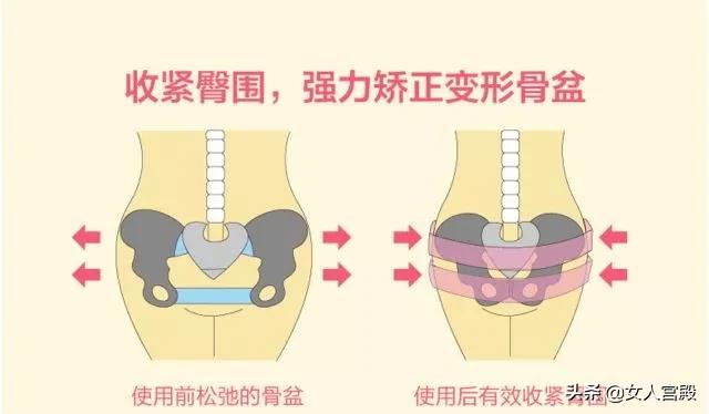 骨盆修复和盆底肌修复有什么区别,骨盆和盆腔有区别吗