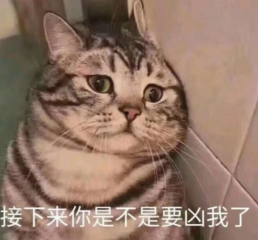 猫咪为什么吸了猫薄荷会那样,猫咪吸了猫薄荷后场面一度失控了
