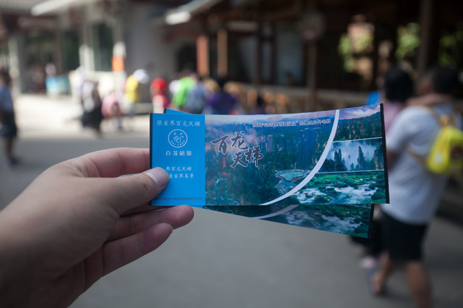 张家界一天游报价,张家界一日游大概需要多少钱