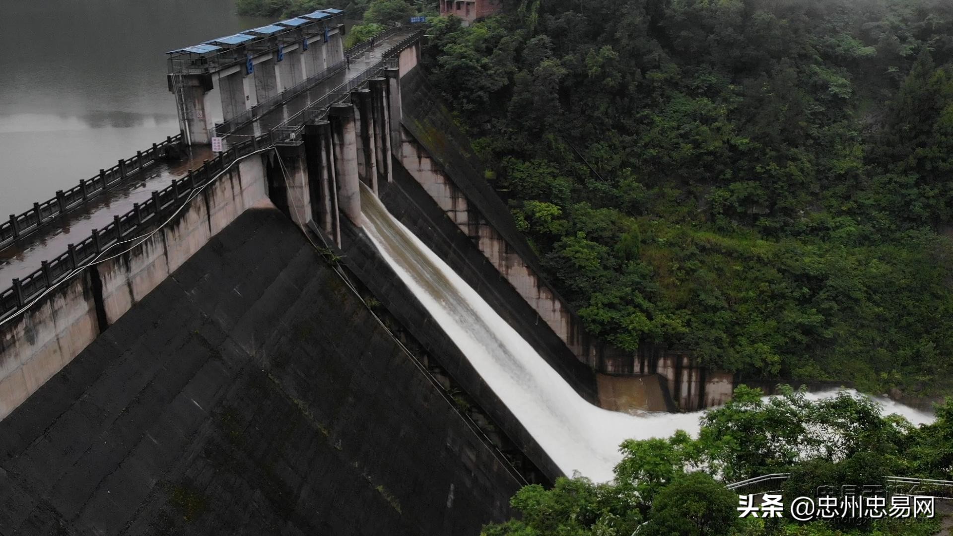 忠县白石水库最新消息,丹江口水库开闸泄洪大场面