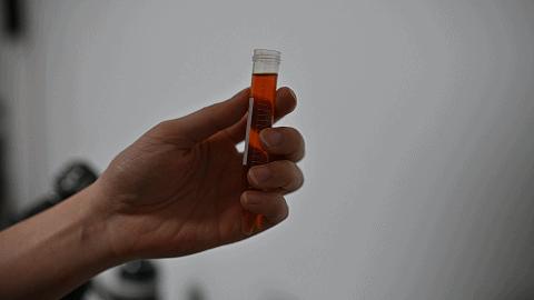 什么叫脱糖电饭锅,脱糖电饭锅是真的还是假的