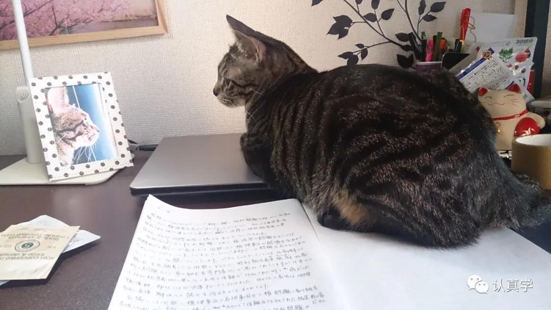 留学生去日本搬家费用高吗,日本留学生搬家公司