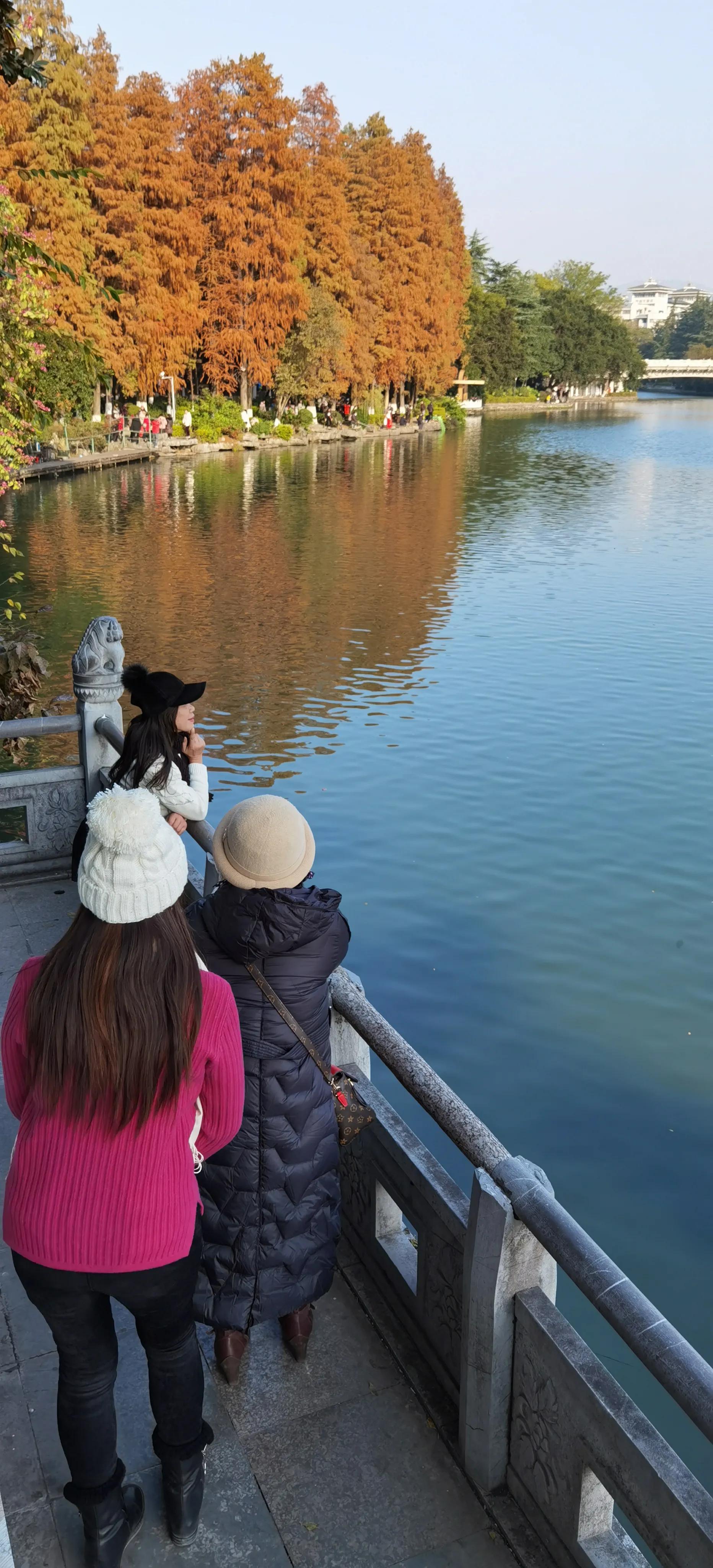 桂林：冬季到桂湖来看景