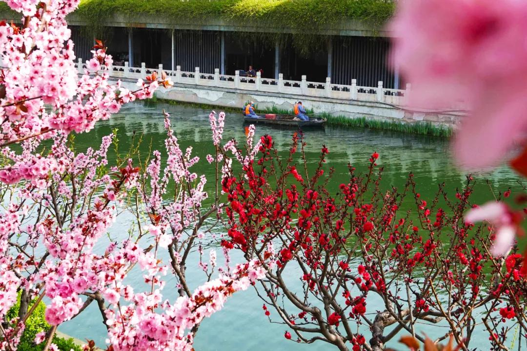 四月发生的事,东城发生的事