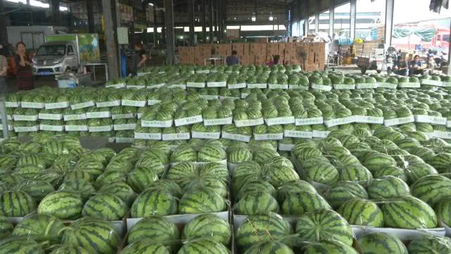 西瓜价格有望回升吗,西瓜价格回升