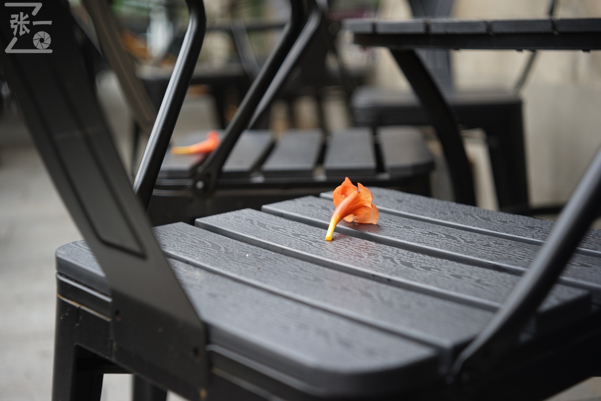 适合索尼a7m4的50定焦镜头测评,索尼a7m4镜头24-105f4测评