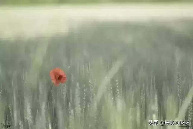 胎儿后期发育慢是什么原因,怀孕后期羊水少是什么原因