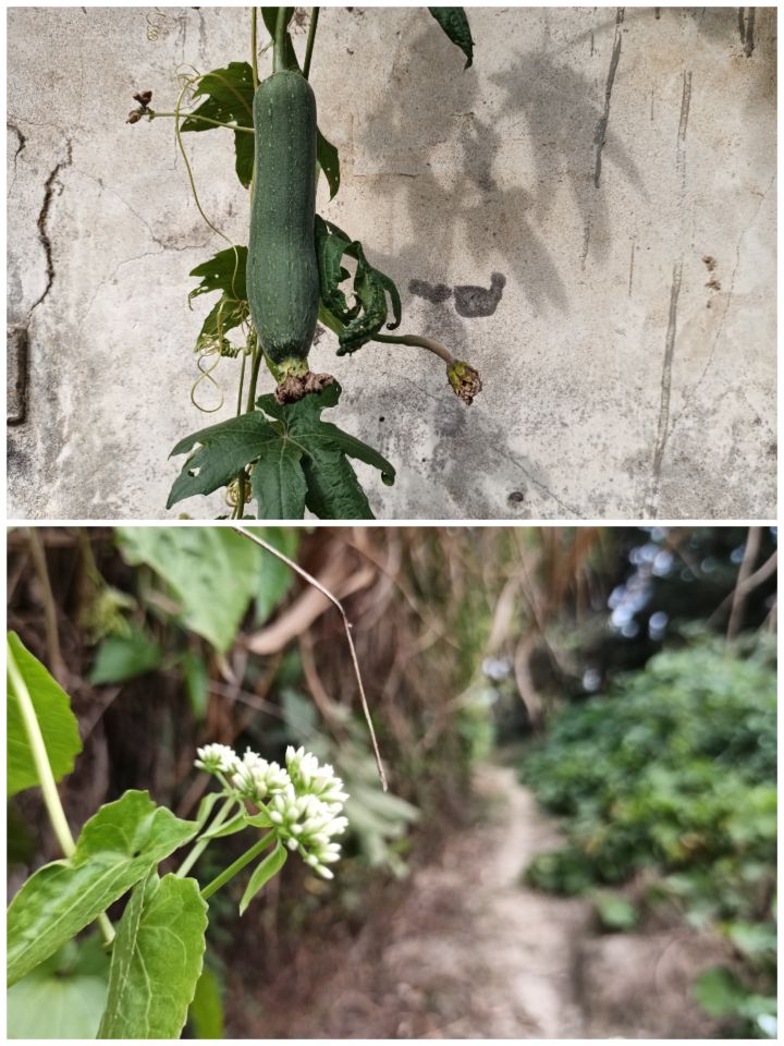 马峦山吃鸡攻略,马峦团建好去处