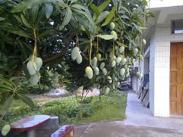 海关属于什么企业,中国海关是公务员还是事业编制