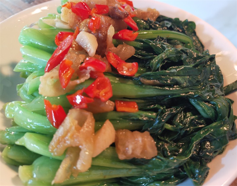 上海青耐寒小青菜鸡毛菜种植时间田间管理技术,分享头条友友们