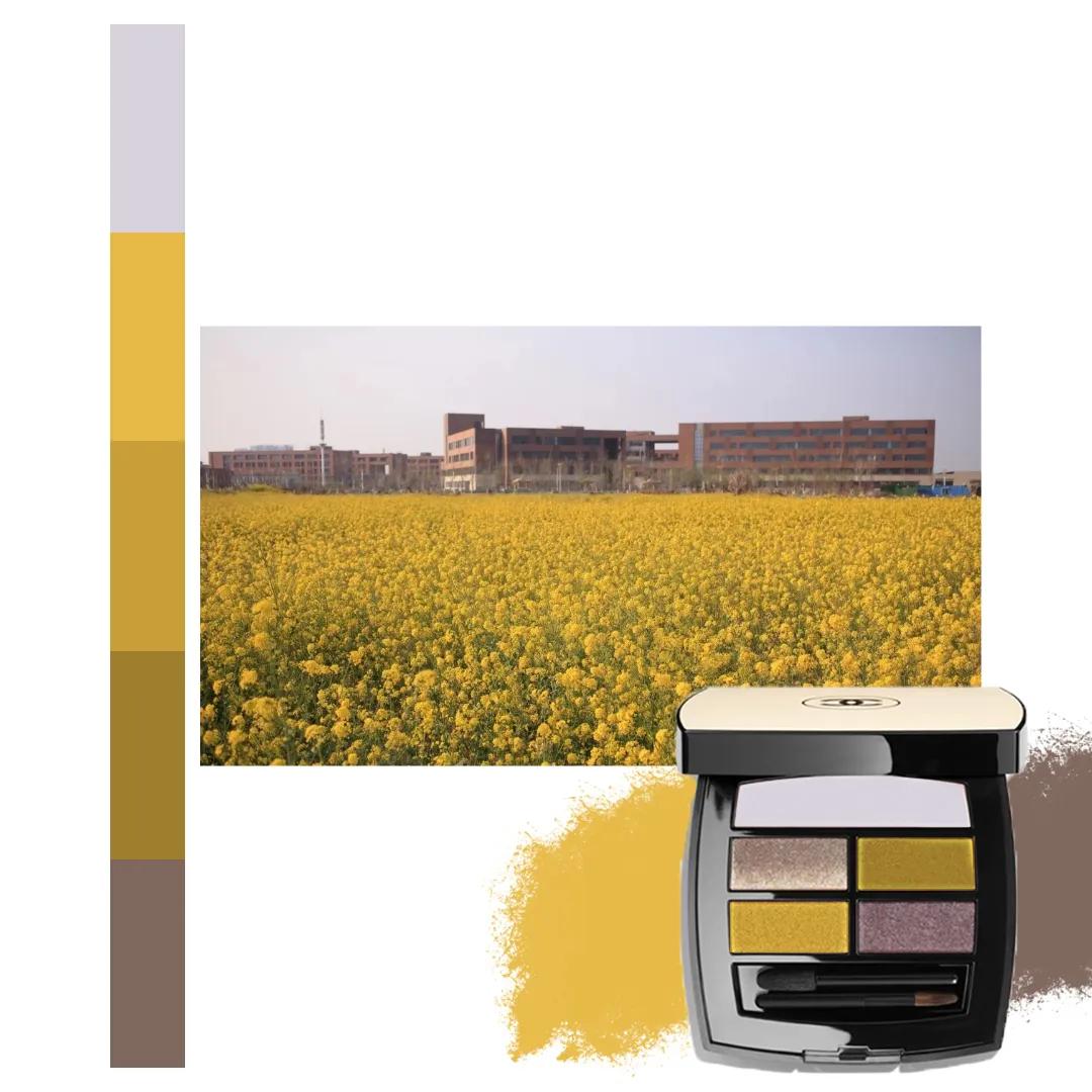 鐩存挱閭兏娌冲寳宸ョ▼澶у,娌冲寳宸ョ▼澶у缇庡