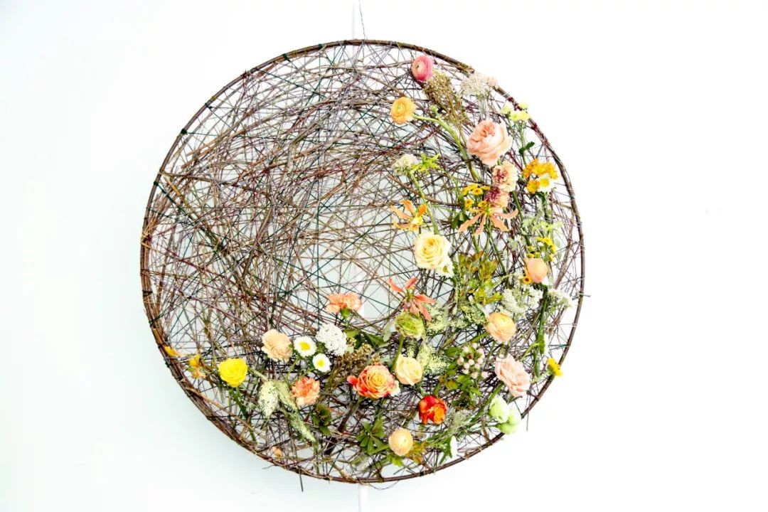 6天,教你用色彩“粉”碎所有不可能