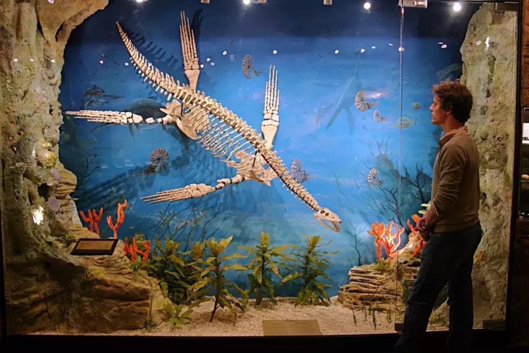 神奇的宝石绘本,宇宙宝石欧泊石