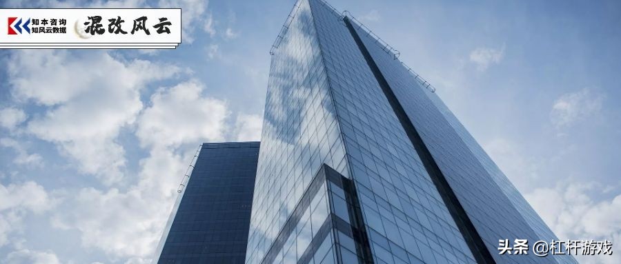 混改企业投资策略研究的重要性,混改企业控股还是参股