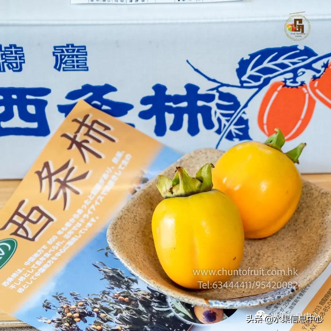 进口水果生意年入千万,批发水果月入百万