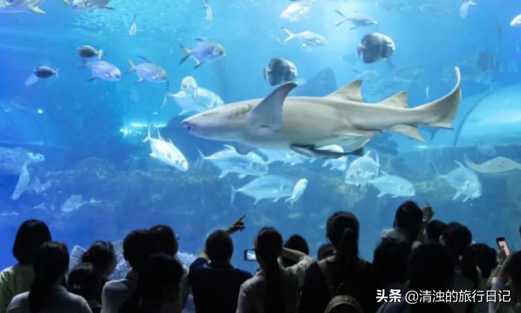 去湖南怎么玩湖南必游景点,湖南最值得去的十个旅游景点