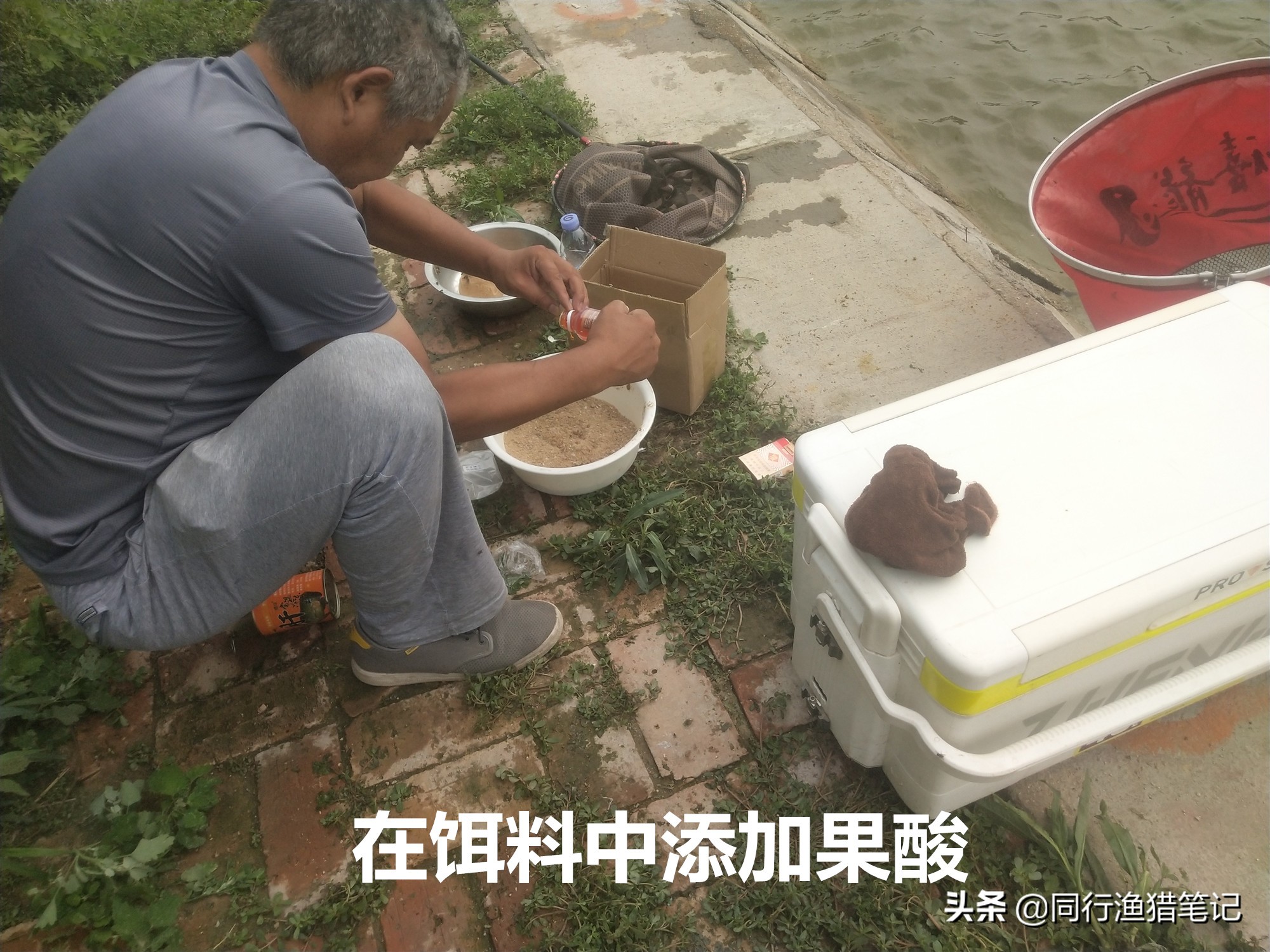 食品级果酸,果酸在鱼饵中的作用