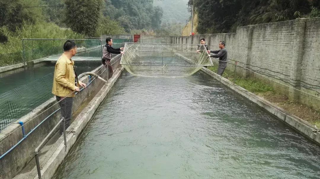 浣涘北鏈夐棿浜烘皵鐖嗘鍐滃簞,浣涘北閲戠墝鍐滃簞