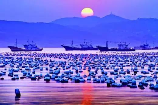 佛山顺德四小虎,四小虎之一顺德