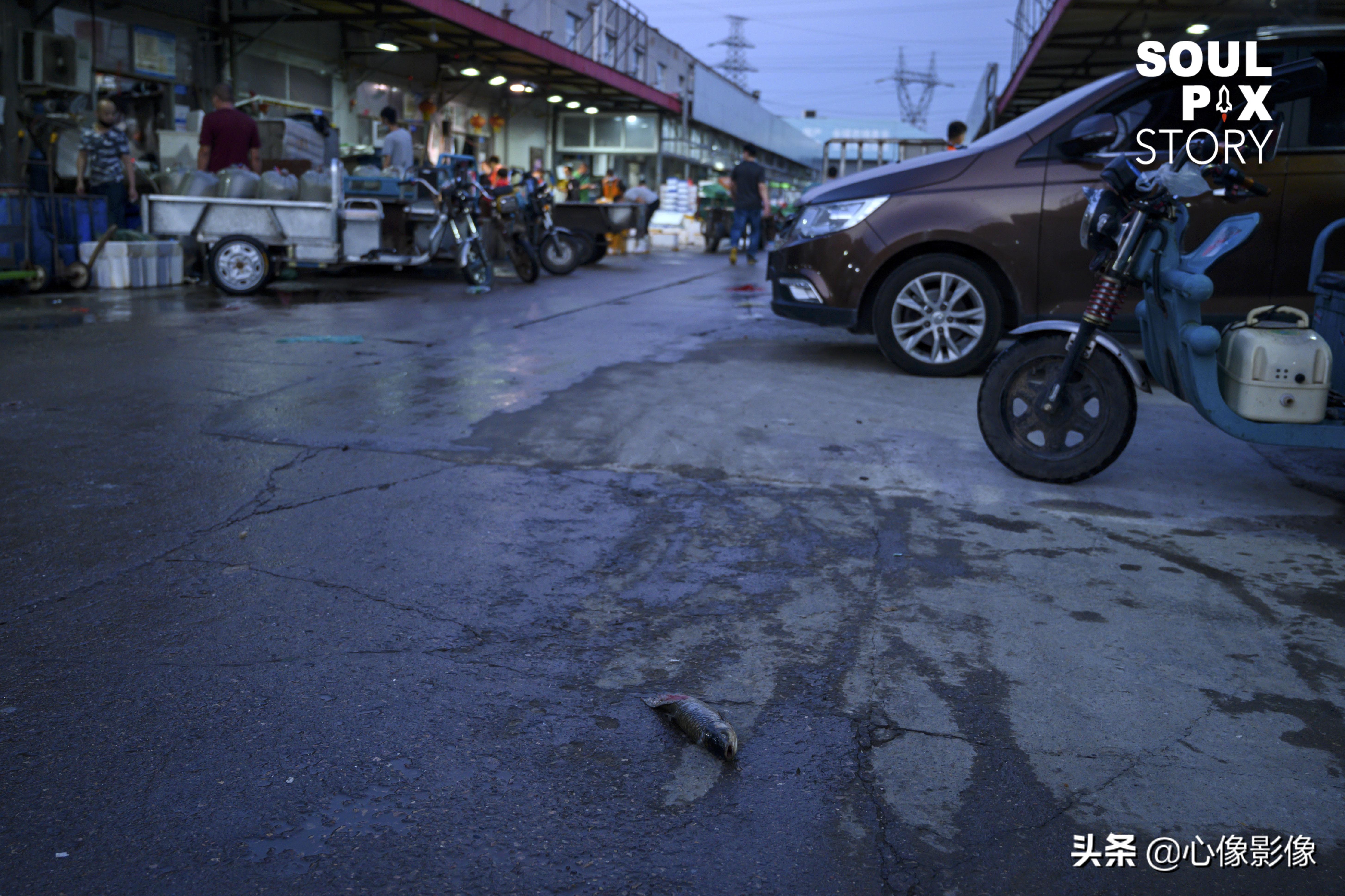 王四营海鲜市场疫情期间营业了吗,北京最新疫情海鲜市场