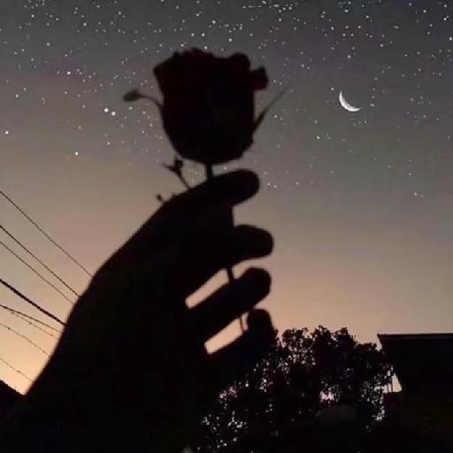 你别太嚣张毕竟我也会爱上别人的