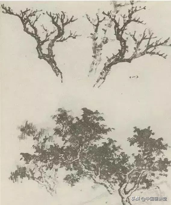 缠枝、挺杆、屈节、钮裂、一棵树如何画？看了这篇你绝对能学会