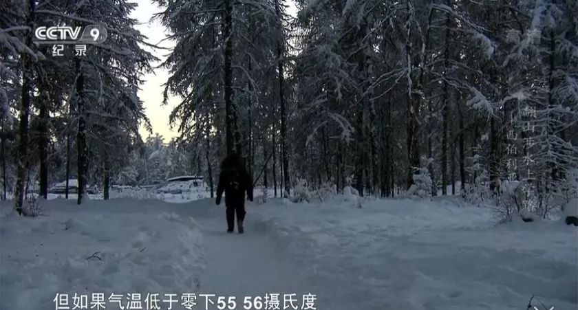 孩子不愿意学习怎样引导他学好,孩子不爱学习怎么教导他