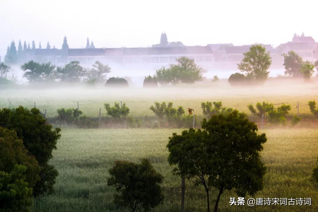 浩浩合元天溶溶迷朗日,浩浩合元天