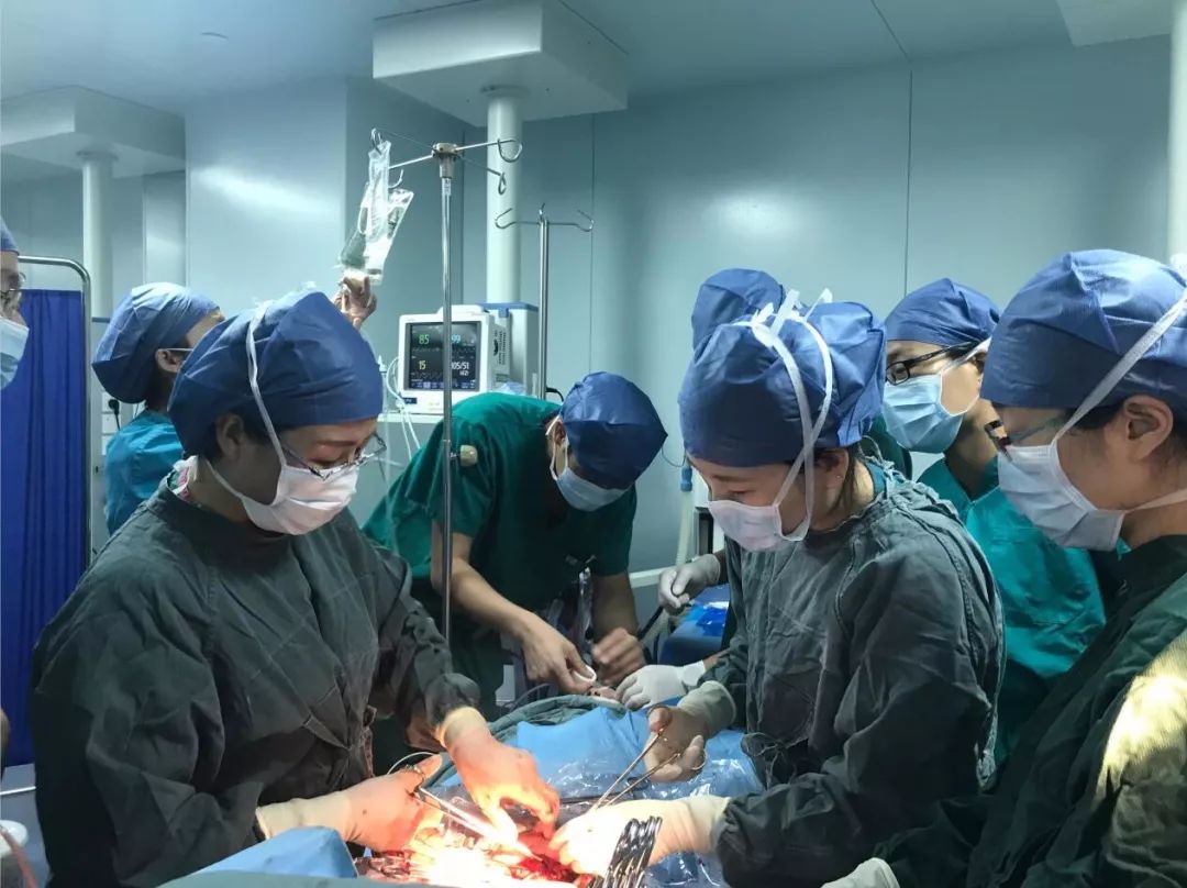 女孩月经来太早可以治疗吗,家有女儿要警惕什么