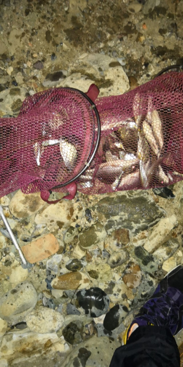 钓友入门竿子,钓鱼竿子新手野钓