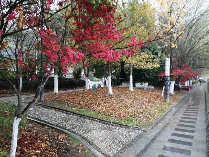 十七楼的寓意,十七楼算高层吗