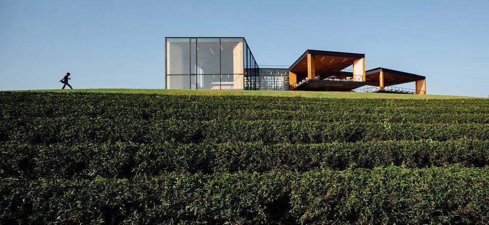 大山里的茶吧咖啡馆在哪里,隐藏在大山里的咖啡馆