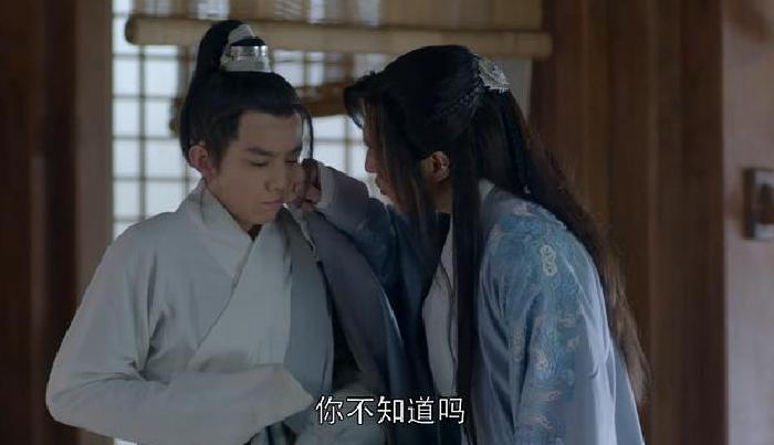 琅琊榜飞流和蔺晨是一对吗,琅琊榜飞流为什么惧怕