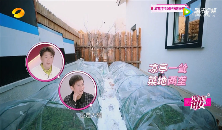 31岁黄雅依旧少女，朴素小家令众多明星羡慕，这才是向往的生活