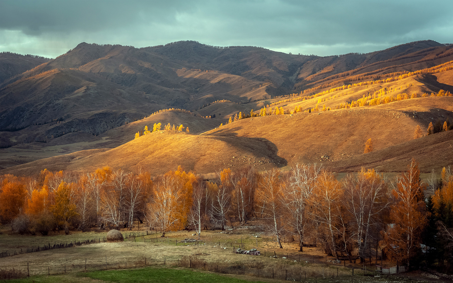 申论对策题：假定你是职能部门工作人员，就PPA风波提出善后意见