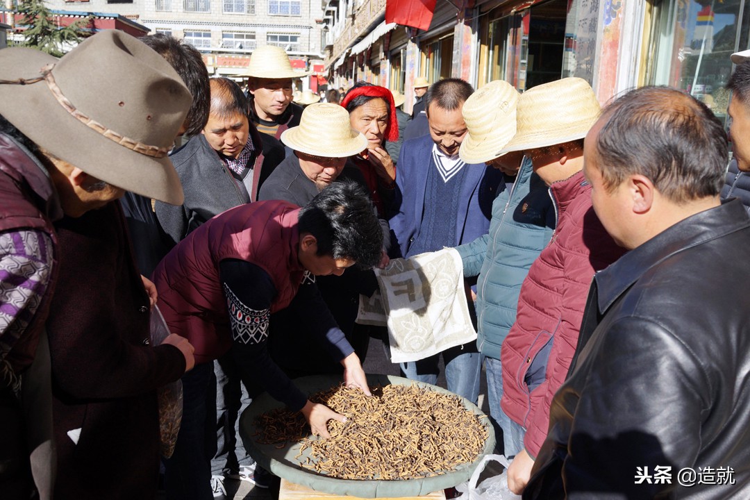 寄生虫如果灭绝不会更好吗,世界最珍贵的寄生虫