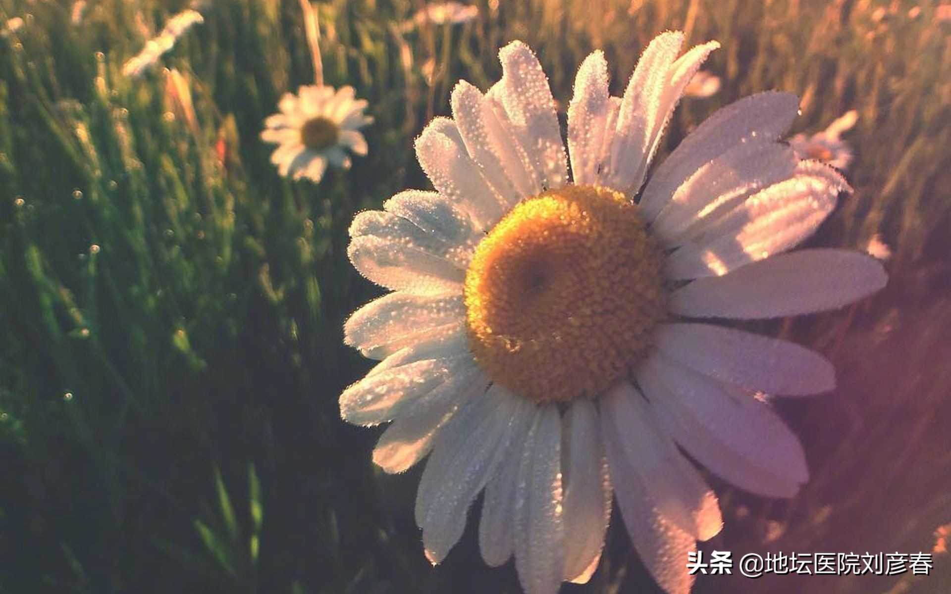 哺乳期妈妈三个月勇敢击退HPV病毒