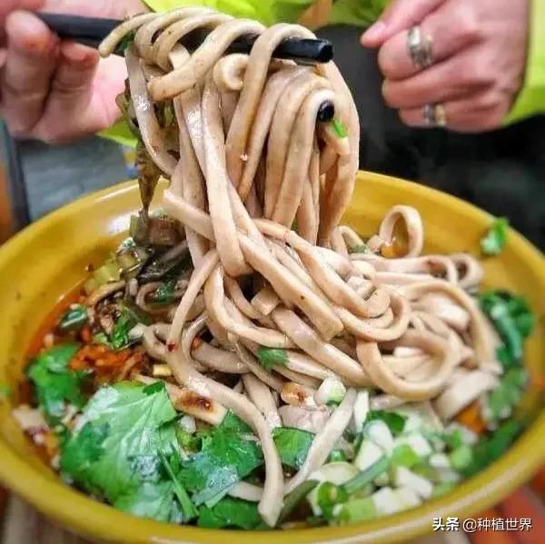 閬典箟鍗佸ぇ鐗硅壊缇庨,璐靛窞閬典箟鍗佸ぇ鐗硅壊缇庨