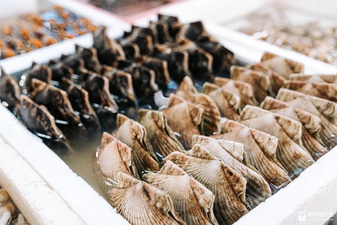 100元左右的海鲜,100元买的海鲜