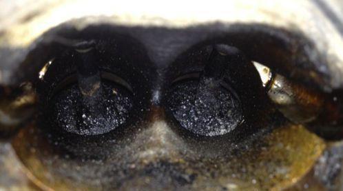 山东油品乱象,山东油品乱象调查全集