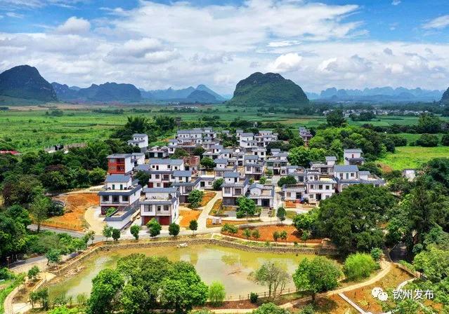 vr直播24小时,vr直播广西