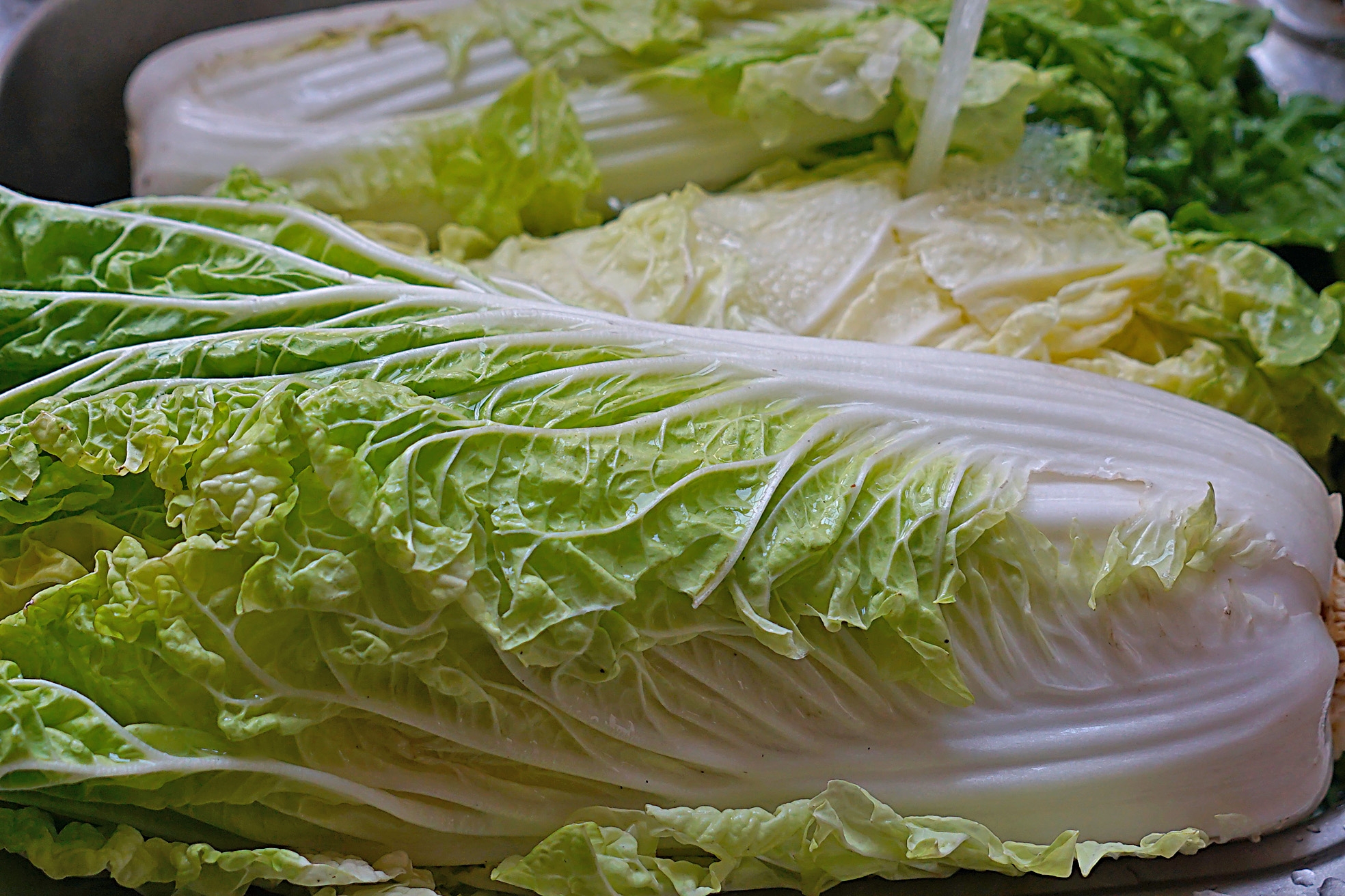 教你腌酸菜的正确做法,教你如何腌酸菜脆嫩酸爽特别下饭