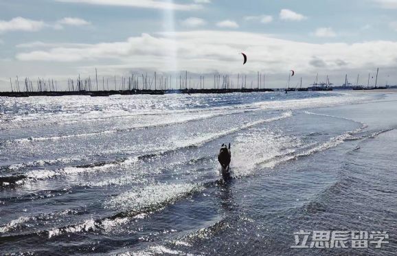 邦德大学法律世界排名好不好