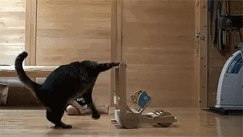 宝宝腿不矫正怎么办,宝宝腿不伸展怎么办