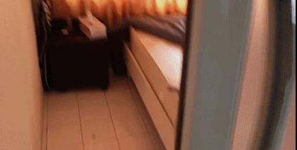 猫咪夏季好物推荐平价,猫咪防抓好物推荐